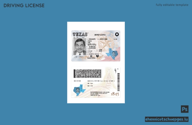 USA Texas Führerschein 2025-heute – Beispielvorschau
